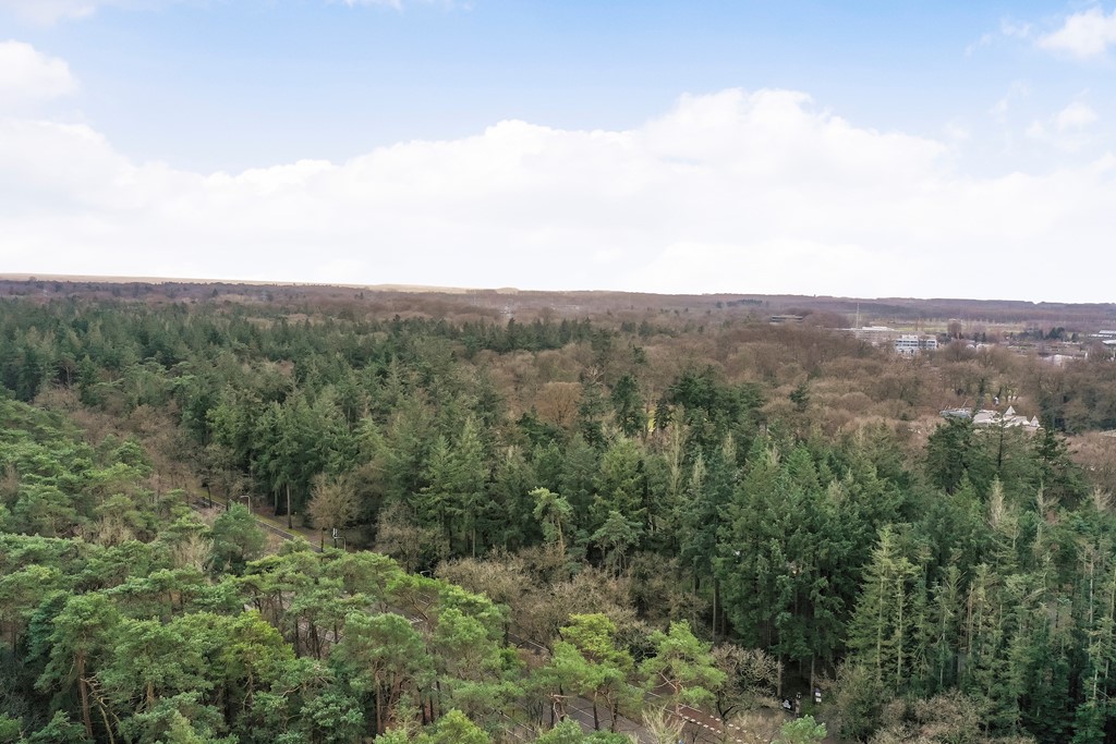 Anna Paulownalaan 172_43.jpg